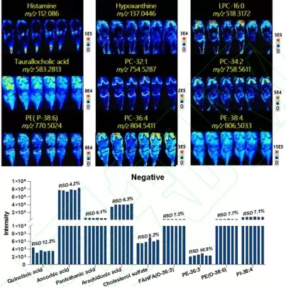 Reproducibility evaluation of AFADESI-MSI in sequential tissue sections.
